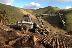 IMG_0448-copy-scaled