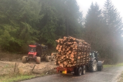 IMG_3301-copy-scaled-e1705655974377