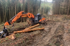 IMG_4199-copy-scaled