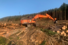 IMG_7783-copy-scaled