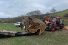 22e78cc1-258a-4672-9d67-9f70973e194c